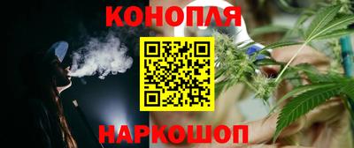 мяу мяу мука Нальчик